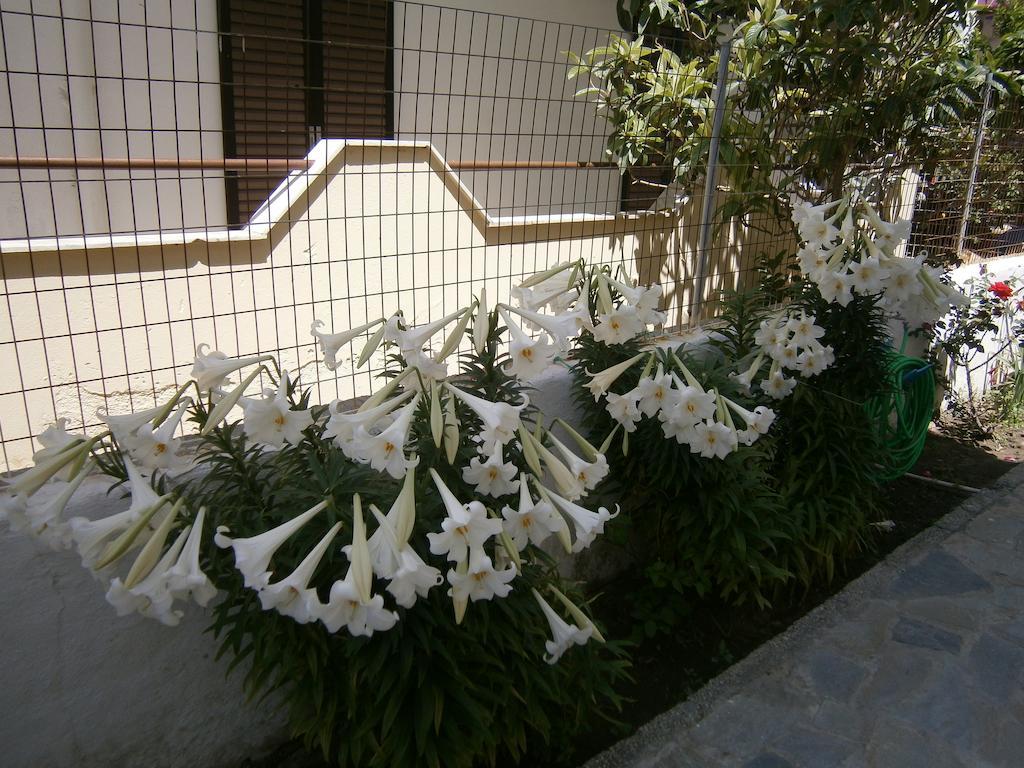 Amfi Apartments Kardamena  Exterior foto